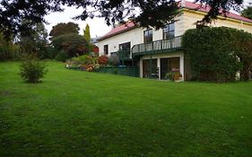 David'S House